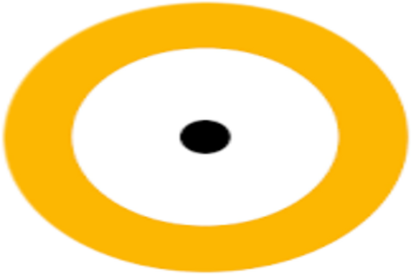 Nuclio Digital School